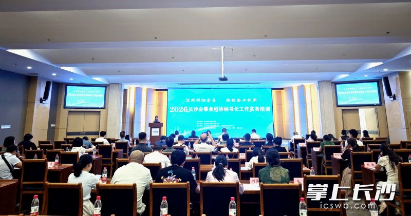 活动现场。长沙晚报通讯员 张含秀 供图