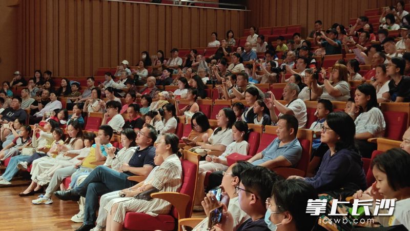 观众聚精会神。 均为主办方供图
