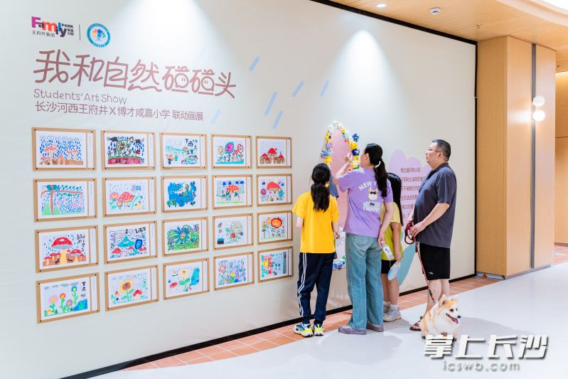 画展免费开放至10月份。