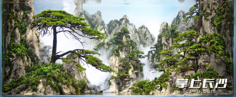 余传威造景作品《黄山》。均为受访者供图
