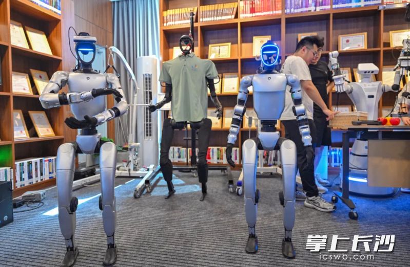湘江实验室已在AI预训练大模型、具身智能机器人等方面有显著突破。