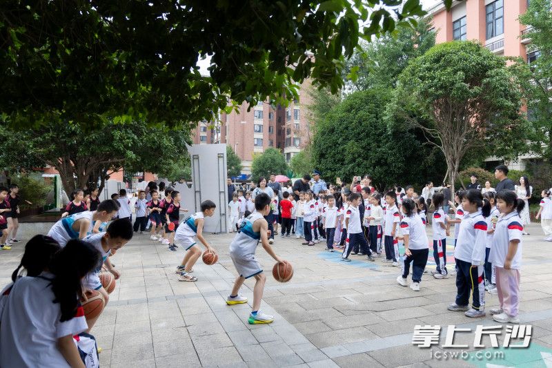 主题项目成果展区吸引了大家驻足。均为长沙晚报通讯员 刘晶 供图