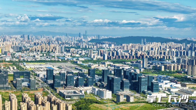 长沙高新区麓谷产业园聚集了大量AI企业，产业发展欣欣向荣。均为 湘江早报全媒体记者 罗钟杰 摄