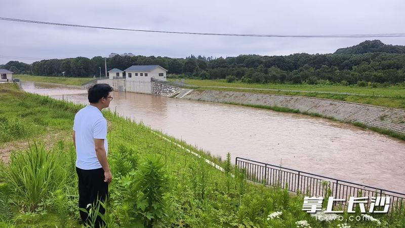 胡浪在汛期大雨过后查看水位情况。