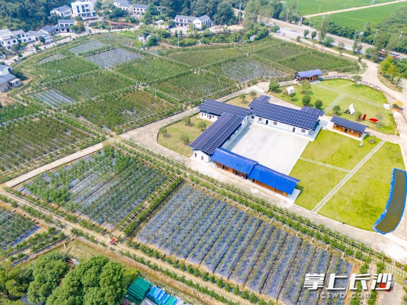 邓湘君的果园提供集采摘、餐饮、研学于一体的复合休闲体验。