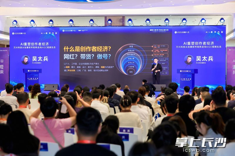 “AI+数字内容”专场论坛是岳麓大会首个聚焦AI影视赛道的论坛，万兴科技董事长吴太兵呼吁国内企业抱团打造中国文化出海新引擎。大会主办方 供图