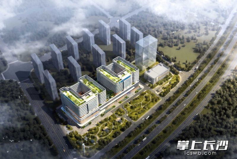 项目效果图。