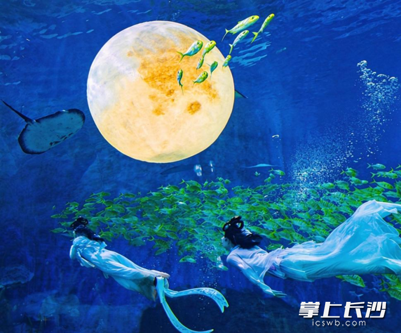 长沙湘江海洋王国千灯节限定开启,巨型水下月亮还原“月宫奇境”。通讯员 吴劲蕾 供图 长沙湘江海洋王国千灯节限定开启,巨型水下月亮还原“月宫奇境”。通讯员 吴劲蕾 供图