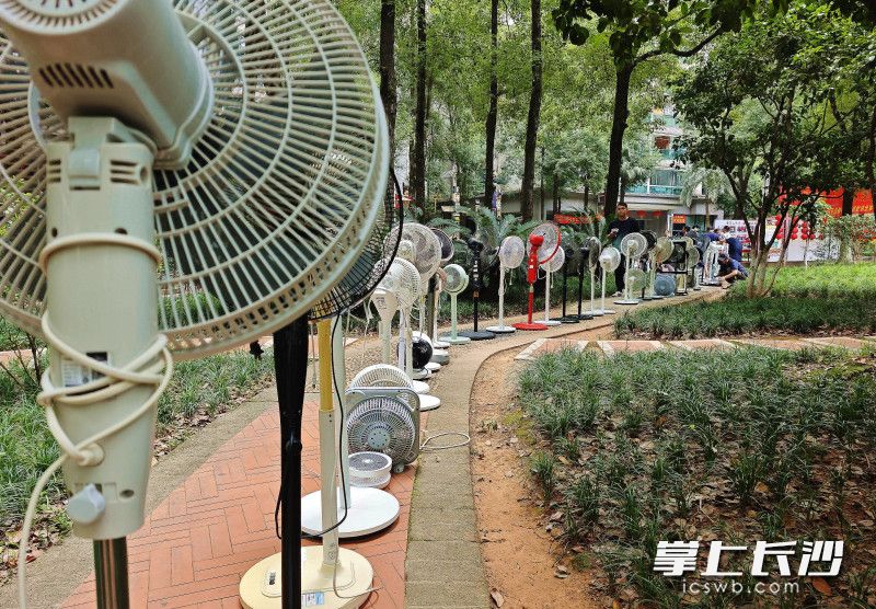 居民送洗的风扇排起了长队。