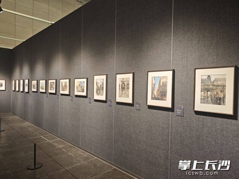展览现场。湘江早报全媒体记者 杨文妤 摄