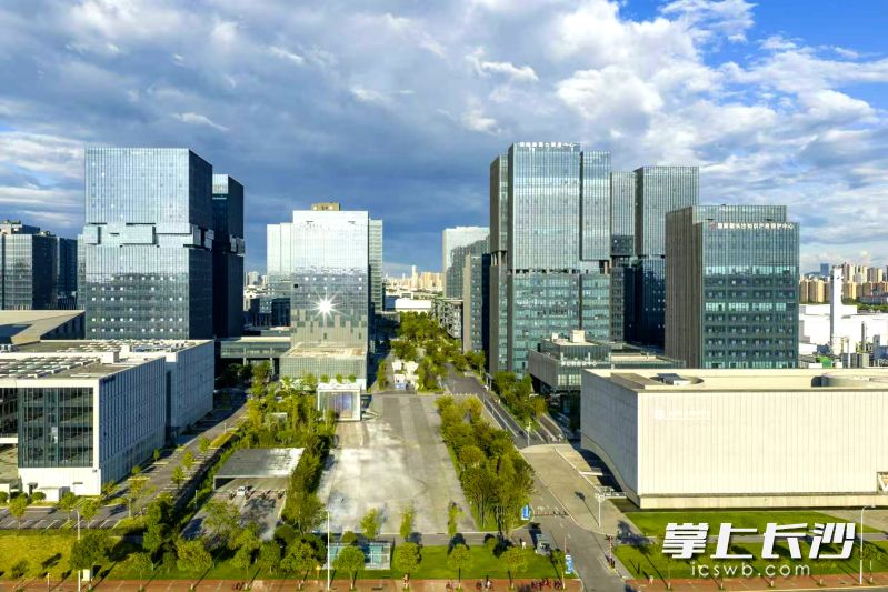 近日,工业和信息化部公示的首批高标准数字园区建设对象名单结束公示,长沙高新区成功入选。湘江早报全媒体记者 罗钟杰 摄 近日,工业和信息化部公示的首批高标准数字园区建设对象名单结束公示,长沙高新区成功入选。湘江早报全媒体记者 罗钟杰 摄
