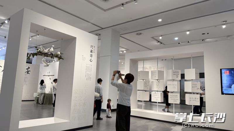 市民在展厅内拍照打卡。