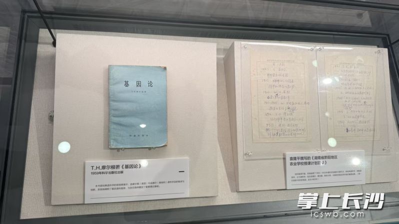 现场展出的部分展品。