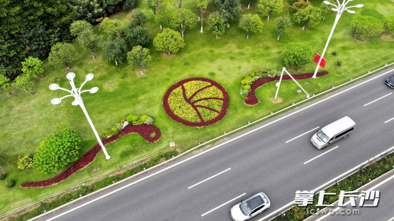 城市景观让人眼前一亮。通讯员 冯莹洁 供图
