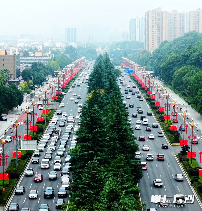 岳麓大道的两侧，鲜艳的“中国红”成为街头醒目的底色。湘江早报全媒体记者 罗钟杰 摄