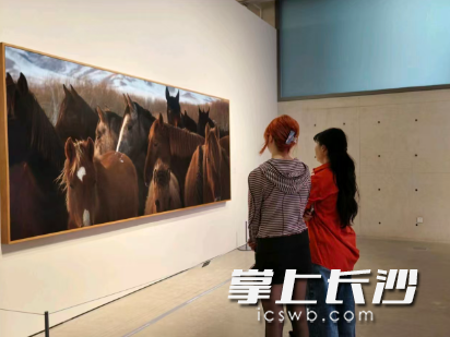 市民观展。主办方 供图