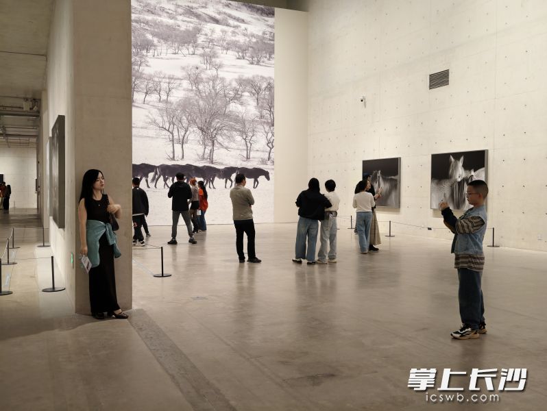 国庆期间，《马·相：谢子龙影像作品展》全国首展面向公众免费开放。
