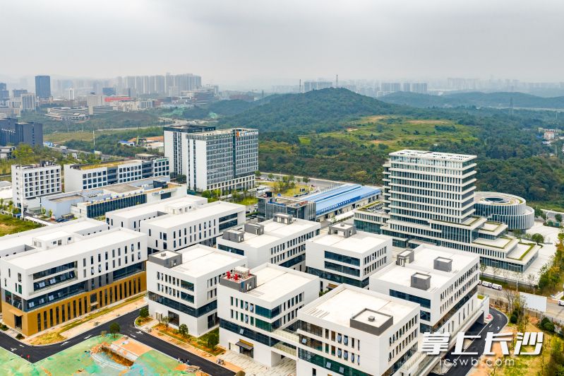 湘江智能网联交通产业园项目建设现场，8栋白黄相间的建筑已矗立成形。均为 湘江早报全媒体记者 罗钟杰 摄