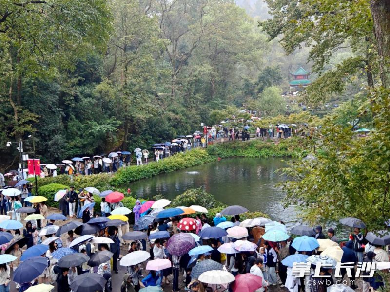 国庆假期,麓山景区迎来客流高峰。均为 通讯员 蒋海霞 供图 国庆假期,麓山景区迎来客流高峰。均为 通讯员 蒋海霞 供图