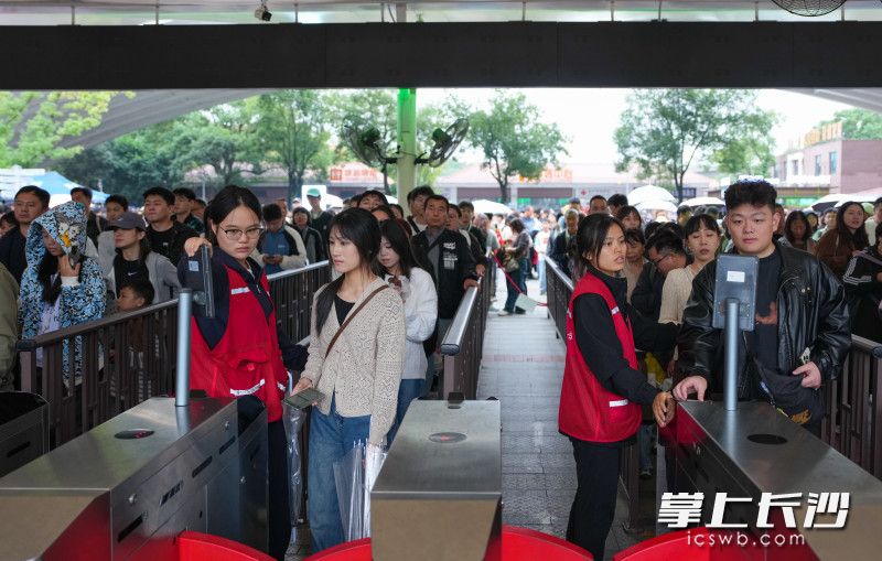 在橘子洲景区入口，志愿者引导游客有序入园。均为长沙晚报全媒体记者 邹麟 摄