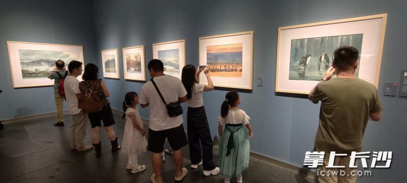 “国际水彩名家七人联展”展厅一隅。长沙晚报全媒体记者 肖舞 摄