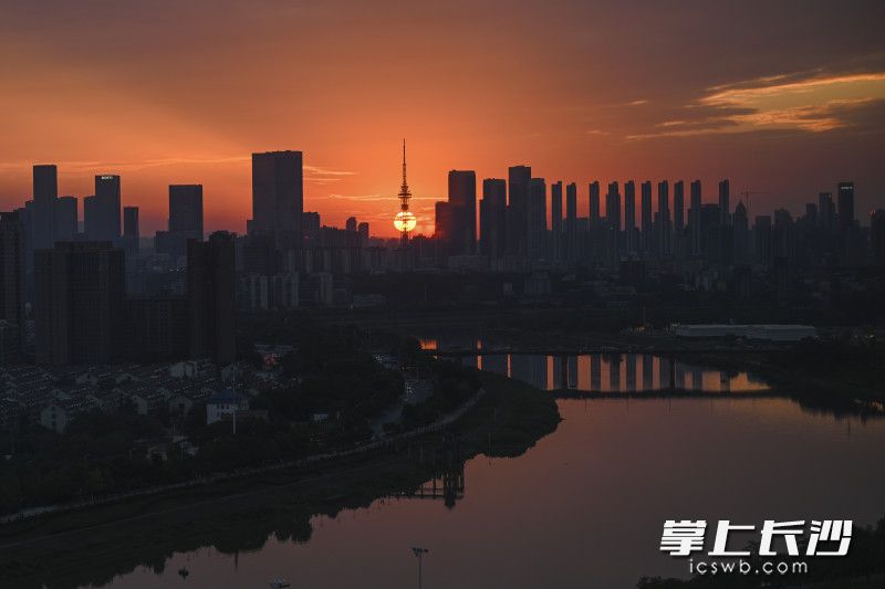 10月5日，傍晚时分，马栏山视频文创园，一轮落日挂在天空，将天空染成橘色，十分好看。 均为长沙晚报全媒体记者黄启晴摄