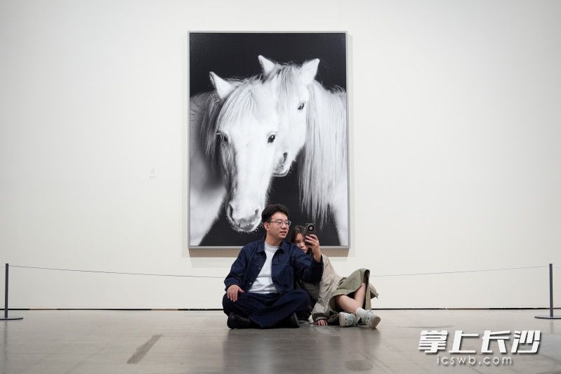 观众在作品前拍照打卡。