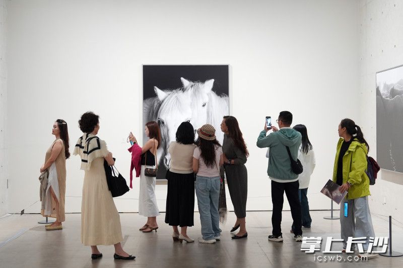 《马·相》展厅内，观众驻足凝视展出作品。