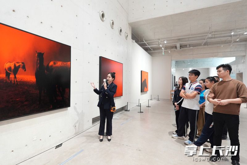 国庆假期，《马·相：谢子龙影像作品展》每天安排3场公益讲解。