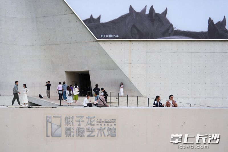 国庆假期里，谢子龙影像艺术馆凭借九周年重磅大展《马·相：谢子龙影像作品展》全国首展，成为长沙热门打卡地。 均为长沙晚报全媒体记者郭雨滴摄