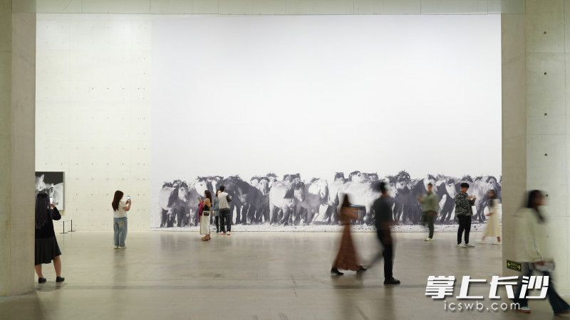 观展现场。
