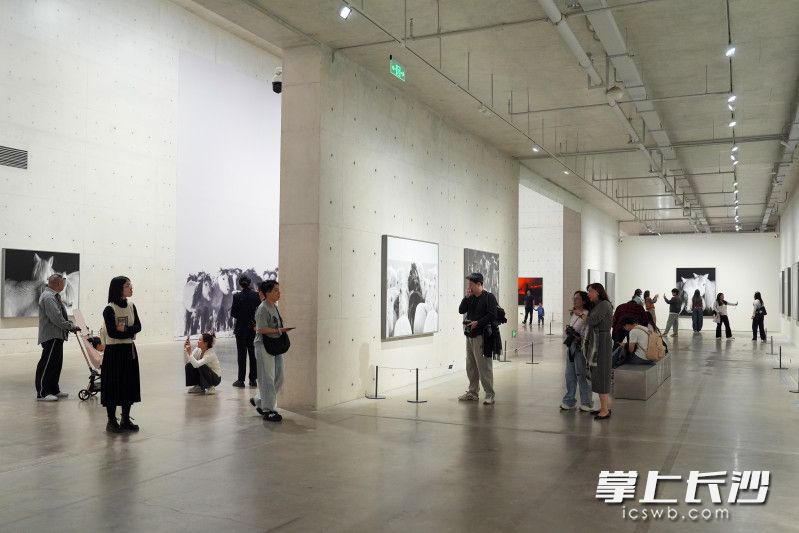 观展现场。