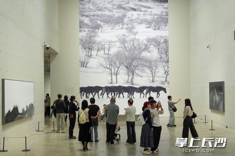 展厅内人头攒动。