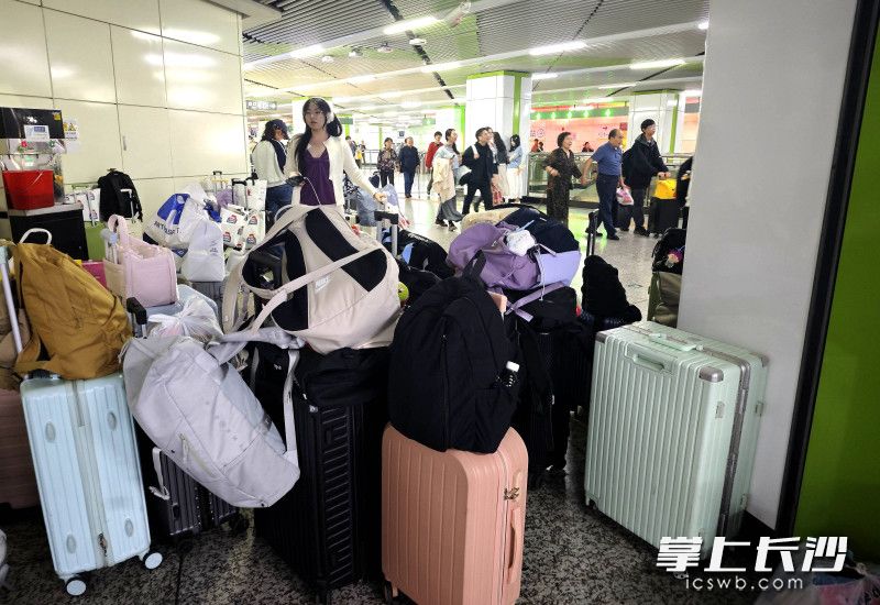 无声的默契彰显着双向的信任。 无声的默契彰显着双向的信任。