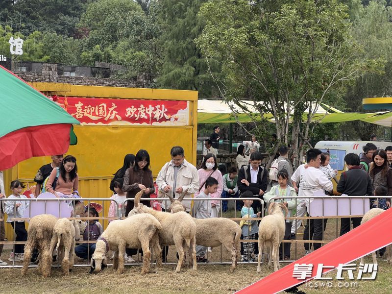 “动物不忙,农场很忙”互动营地热闹非凡。 “动物不忙,农场很忙”互动营地热闹非凡。