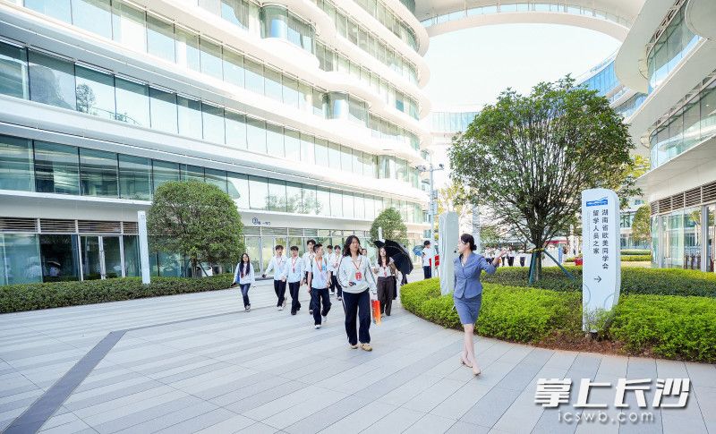 学子们来到大泽湖海归小镇。