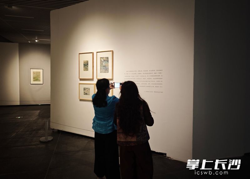 展览现场。