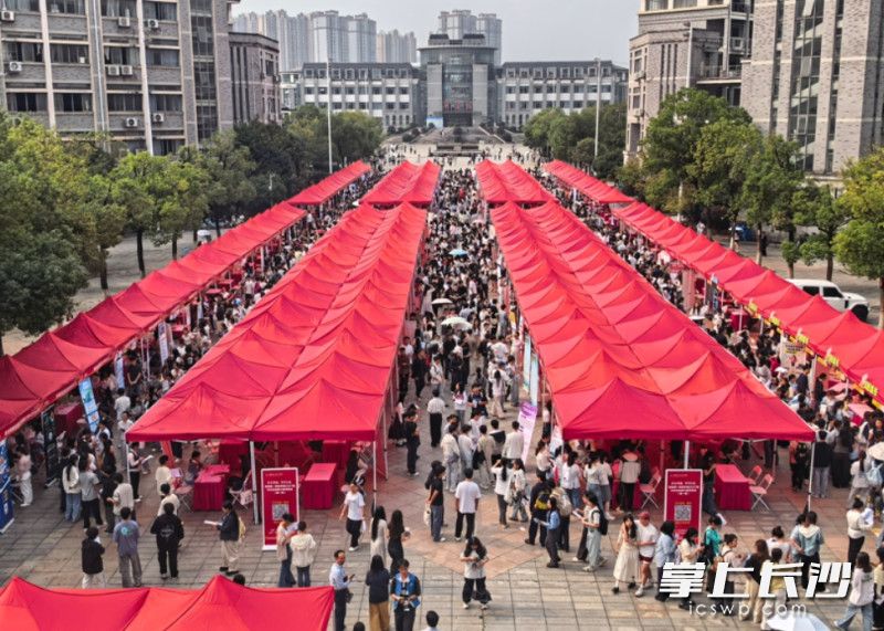近日，“红色铸魂 职引未来”湖南第一师范学院2027届毕业生秋季大型双选会举行。均为 通讯员 杨晴 供图