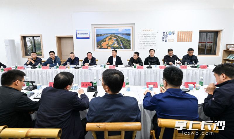 座谈交流现场。 均为长沙晚报全媒体记者 王志伟 摄