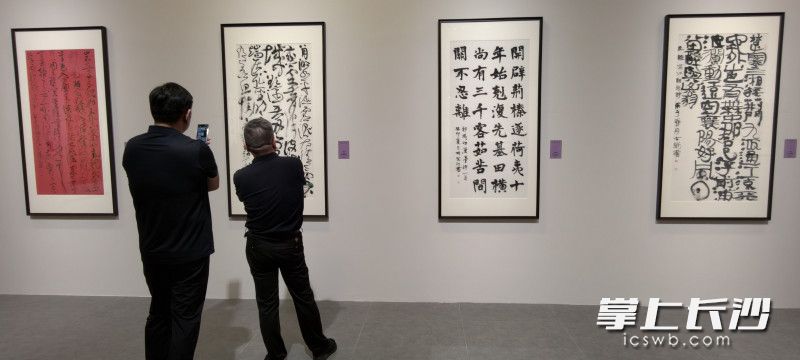 展览汇集胡紫桂十余年艺术求索成果。