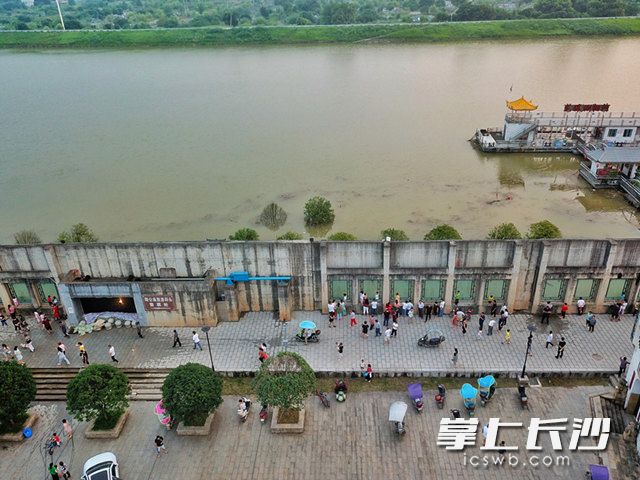 10日，在㮾梨街道陶公庙广场上，市民正在悠闲地散步，一旁的浏阳河里洪水正穿流而过。长沙晚报全媒体记者 王志伟 通讯员 章帝 摄影报道