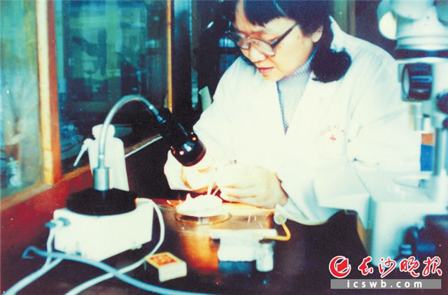 上世纪90年代中期，卢光琇在显微镜下做实验。