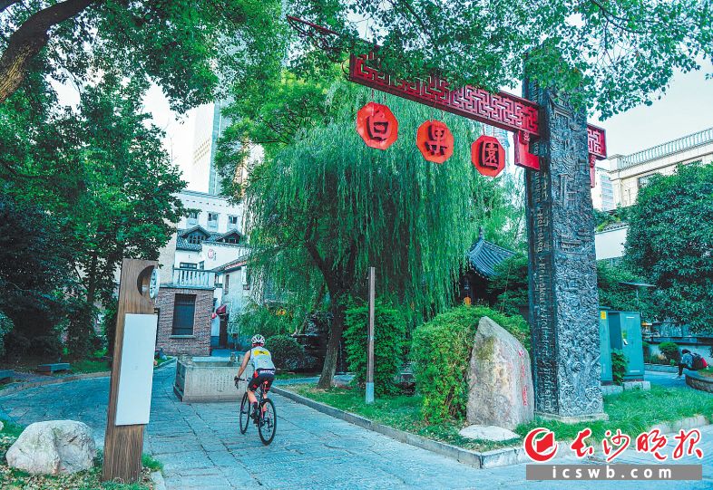 白果园是一条仿晚清风格改造的小巷。长沙晚报全媒体记者 邹麟 摄