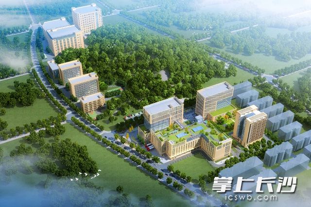 三诺生物智慧健康项目效果图。通讯员 余乐乐