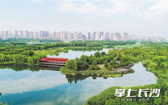洋湖湿地公园郁郁葱葱。
