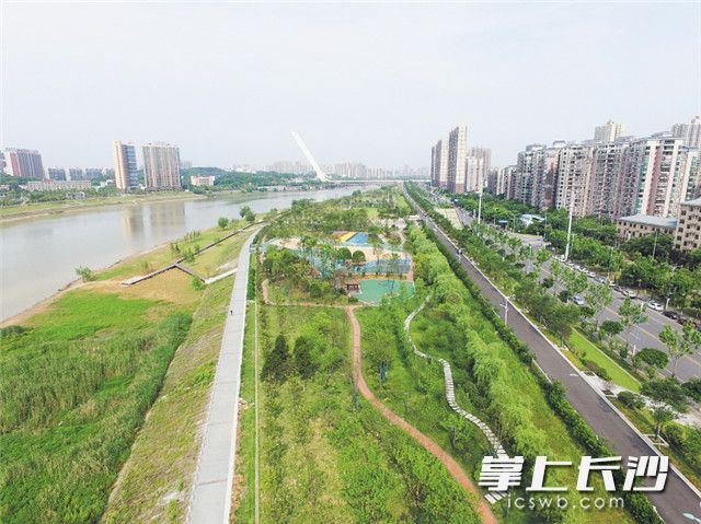 浏阳河畔的绿色公园，成为人们散步游玩的好去处。