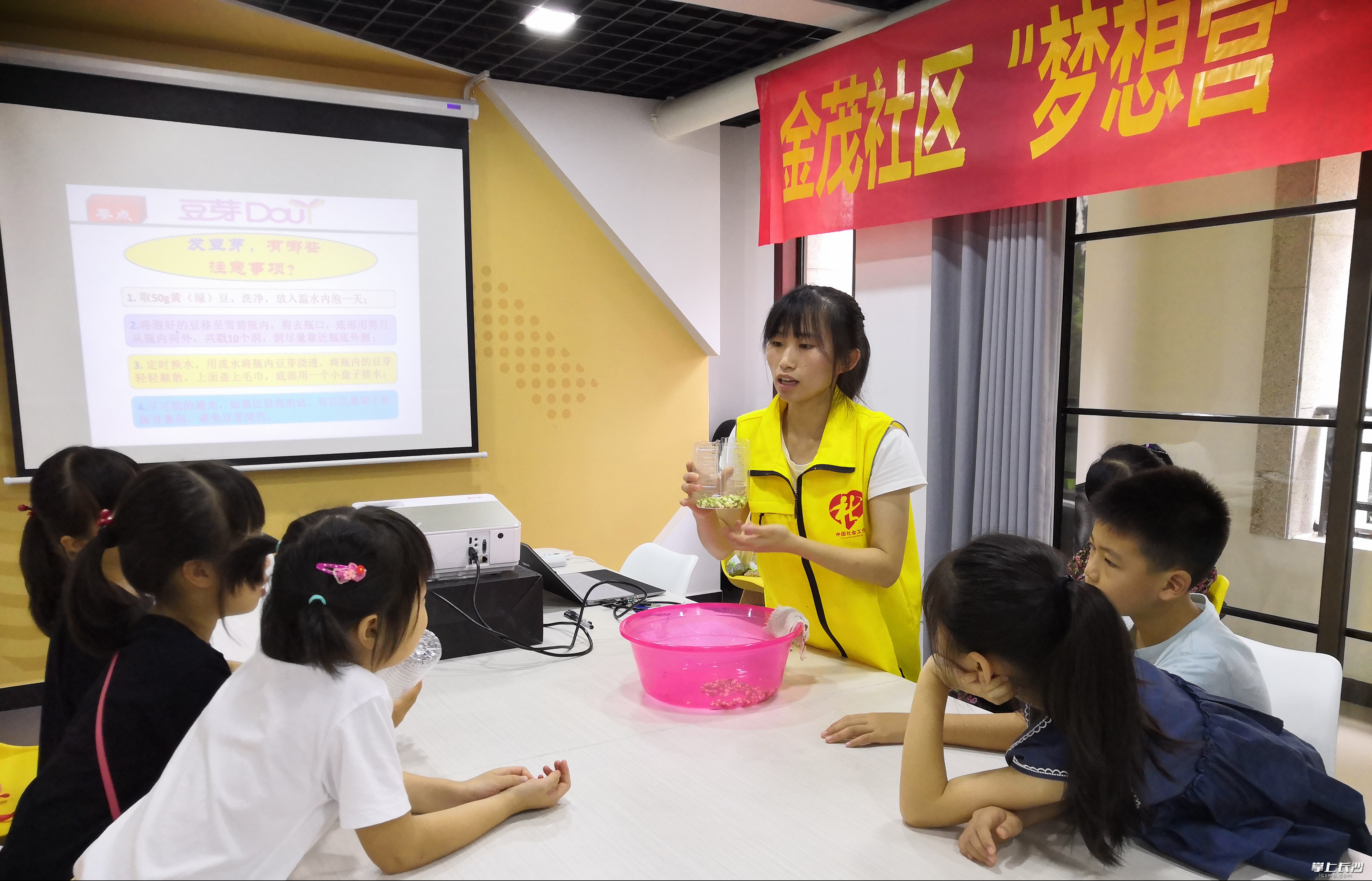 社工给孩子们演示发豆芽。 社工给孩子们演示发豆芽。