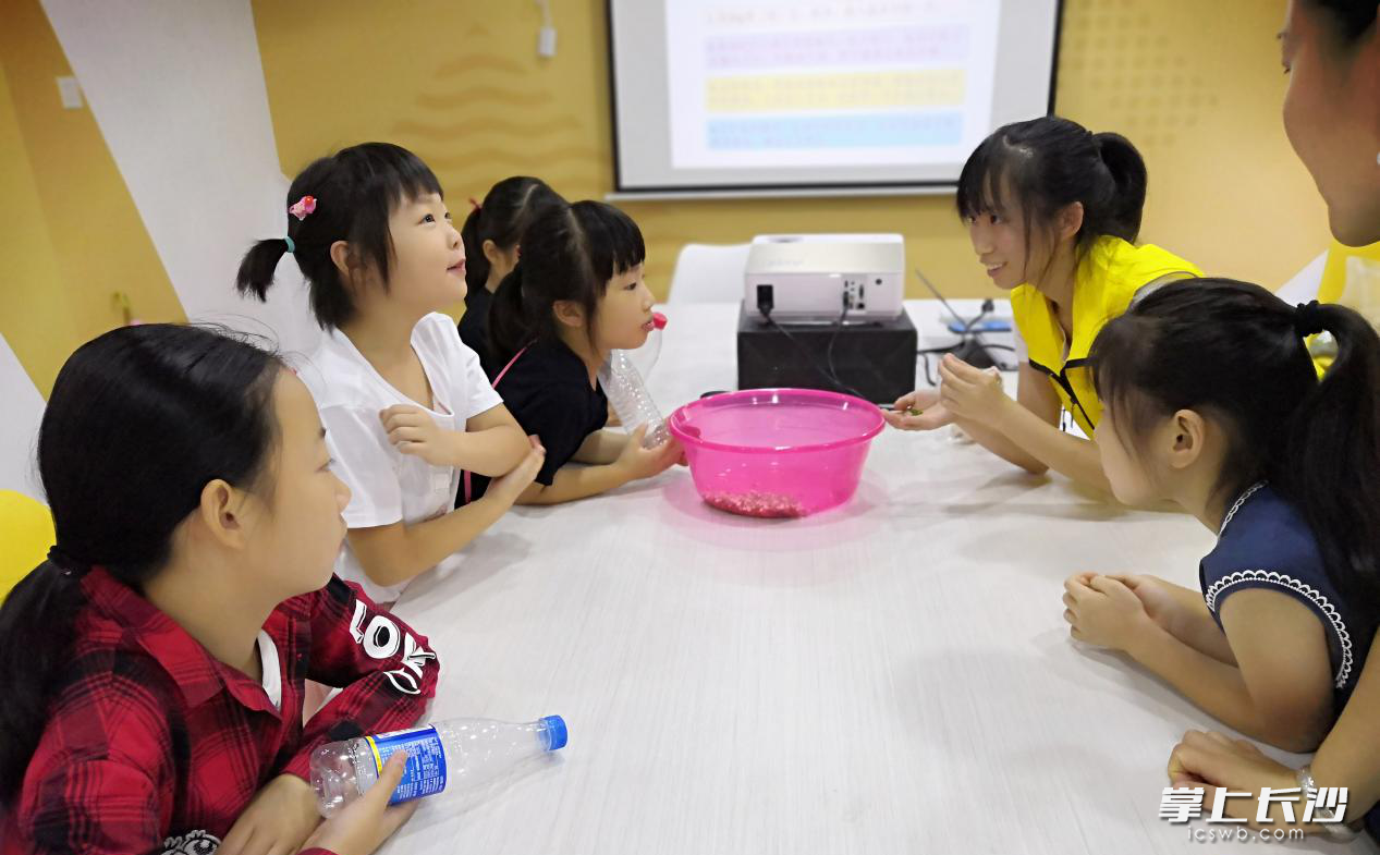 观察泡发的豆子。 观察泡发的豆子。