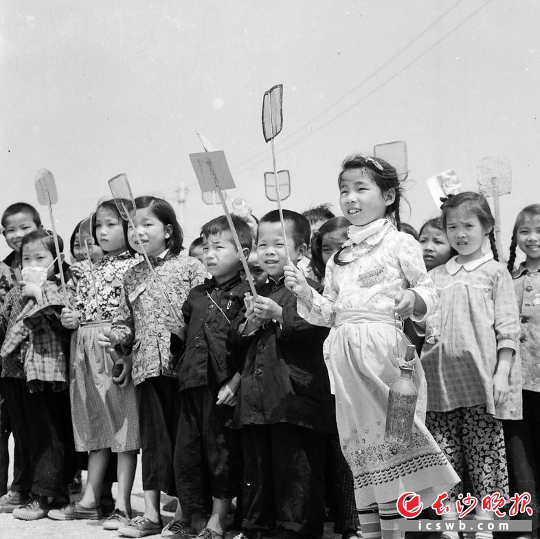 1958年4月26日，水陆洲的菜花芬芳沁鼻，和风吹荡着湘江碧水粼粼泛光，把橘子洲头衬托得格外幽静，孩子们在这里展开了一场规模较大的歼蝇战。