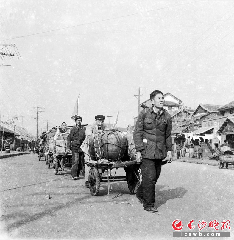 1958年12月16日，湖南制药厂干部、工人一起用板车拖运生产原材料。板车在当时是主要的短途运输工具。
